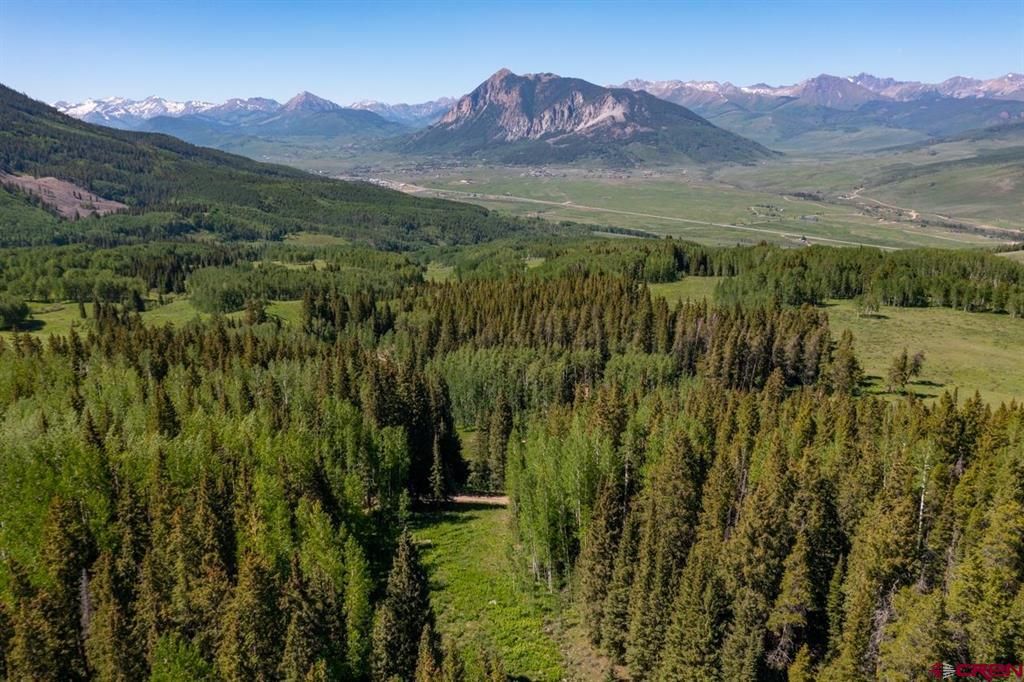 1251 Red Mountain Ranch Lower Loop, Crested Butte, CO 81224 MLS