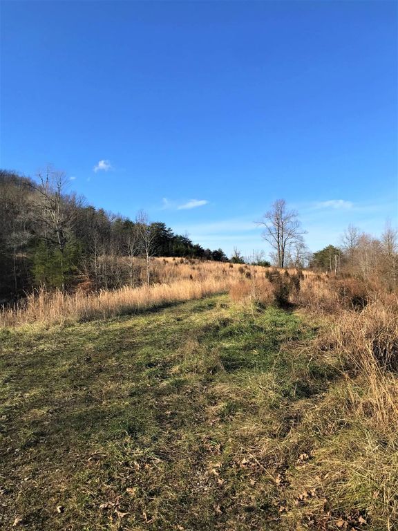 Campbellsville Rd, Lebanon, KY 40033 Trulia