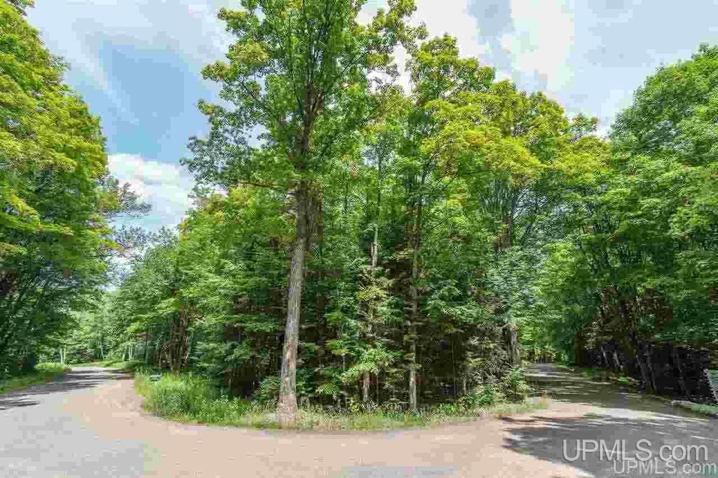 Lot 1 Annabelle Lake Rd, Presque Isle, WI 54557 MLS 10065728 Trulia