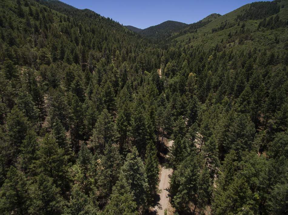 343 Karr Canyon Rd, High Rolls Mountain Park, NM 88325 Trulia