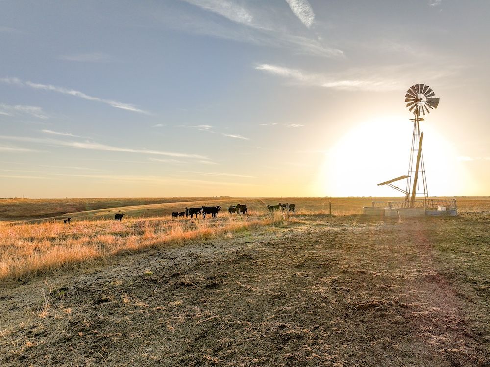 Daykin Rd WP001, Amherst, NE 68812 Lot/Land for Sale MLS 91490