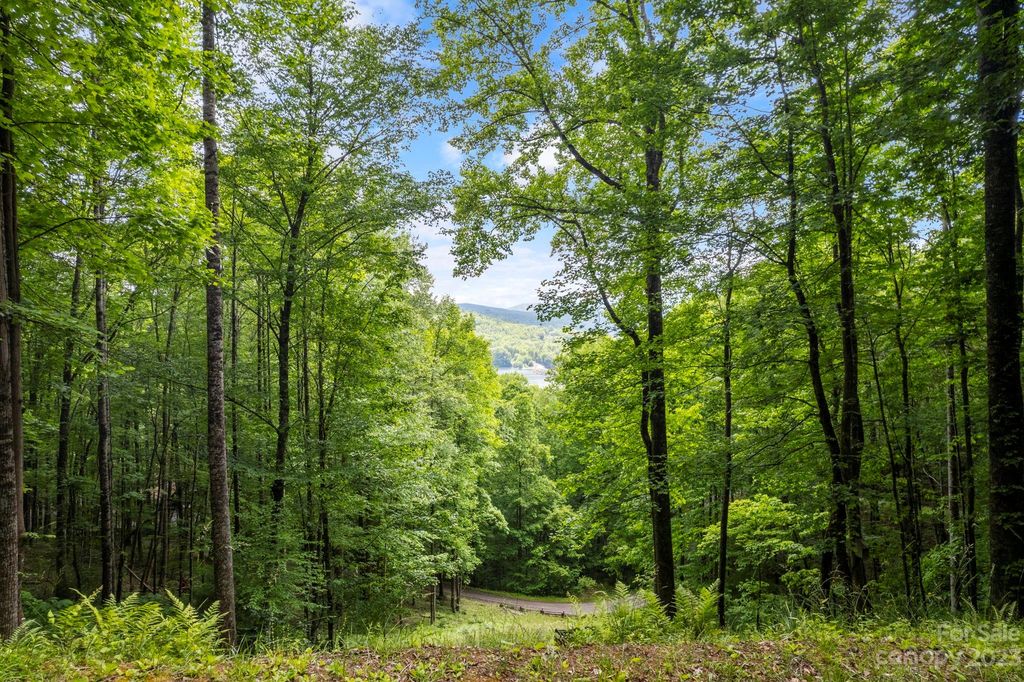 Lot-12A Von Trapp Ln, Tuckasegee, NC 28783