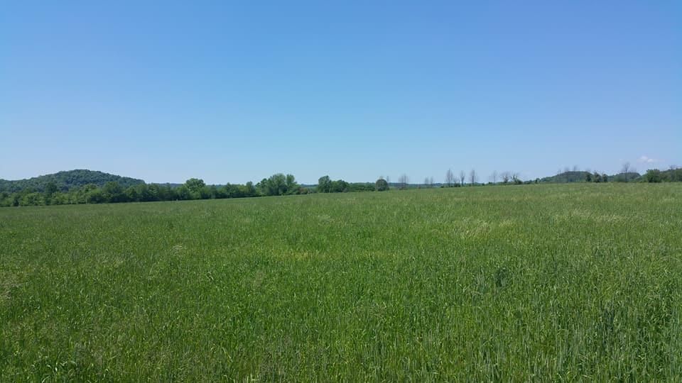 2 Midland Rd, Bell Buckle, TN 37020 Trulia