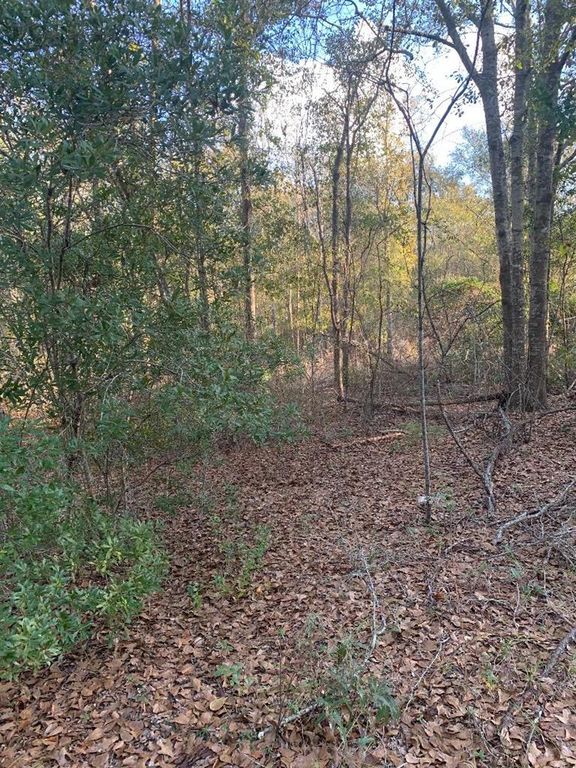 Lonnie Brown Dr, Fitzgerald, GA 31750 Trulia