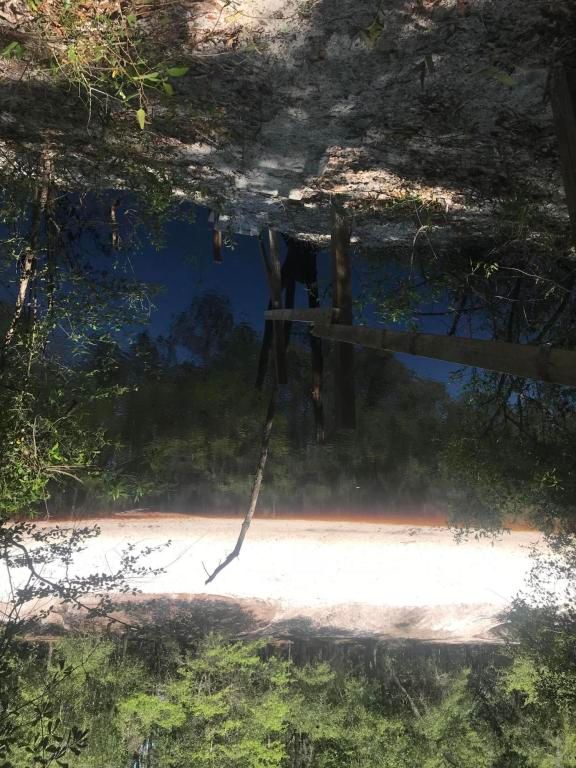 2063 St Marys River Bluff Rd, Saint GA 31562 Trulia