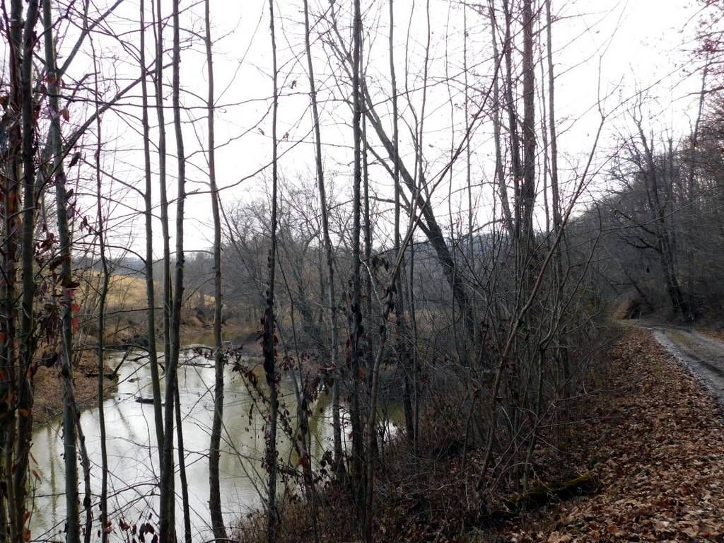 9999 Old Elam Rd, West Liberty, KY 41472 MLS 11234947 Trulia