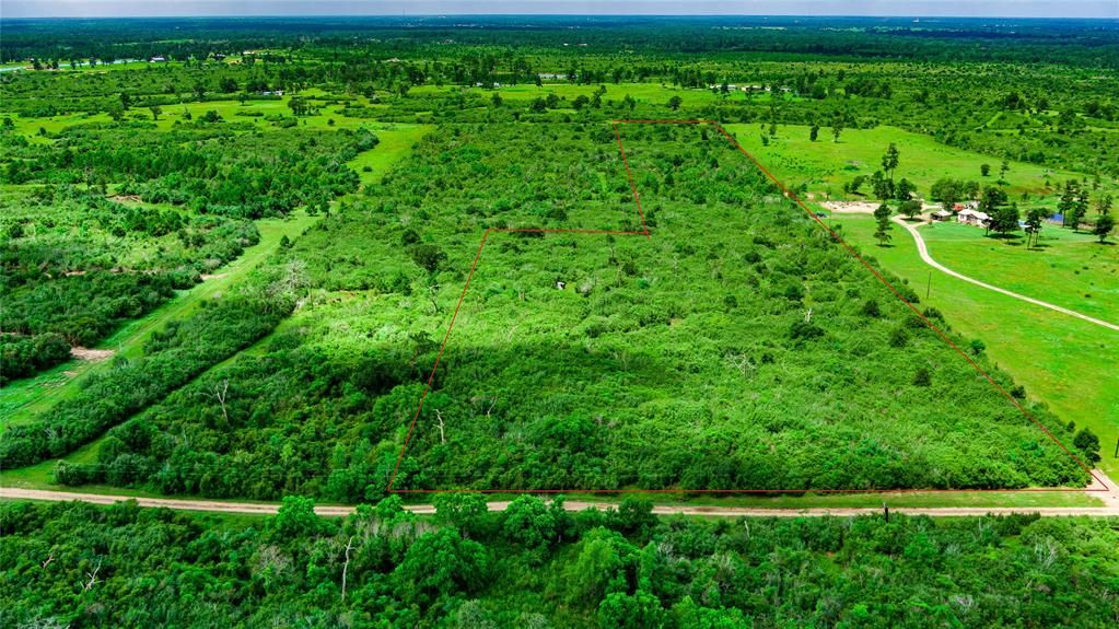 Piney Woods Rd, Alleyton, TX 78935