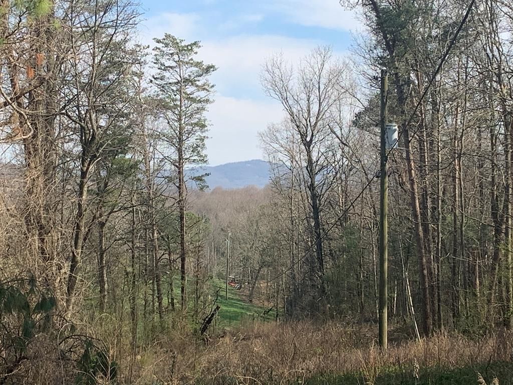 4820 Clear Creek Rd, Ellijay, GA 30536 Trulia