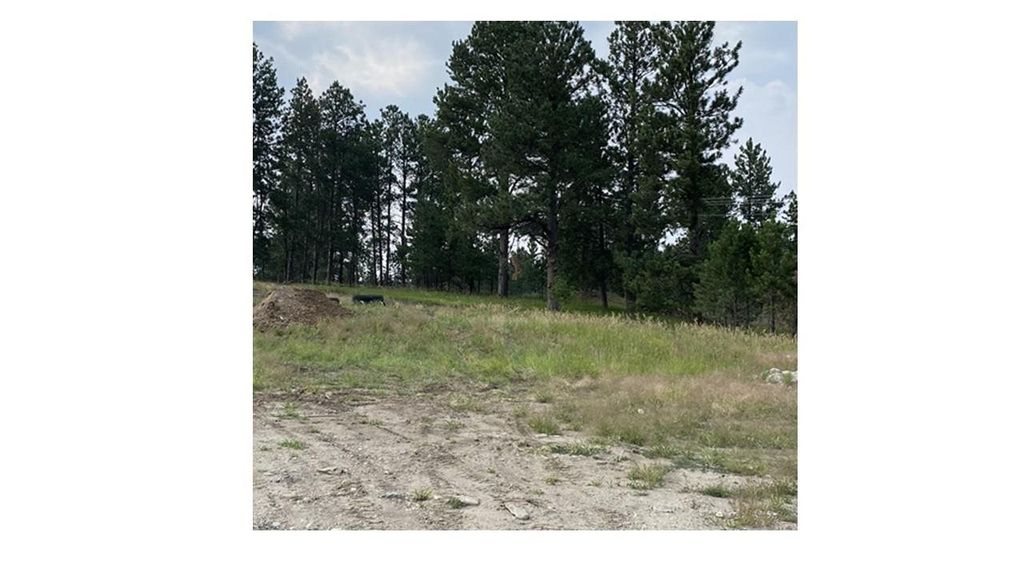 1024 Quinn Dr, Hill City, SD 57745