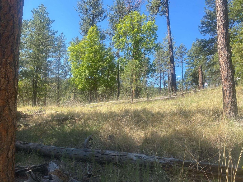 23 Sun Flower Trl, Mayhill, NM 88339 Trulia