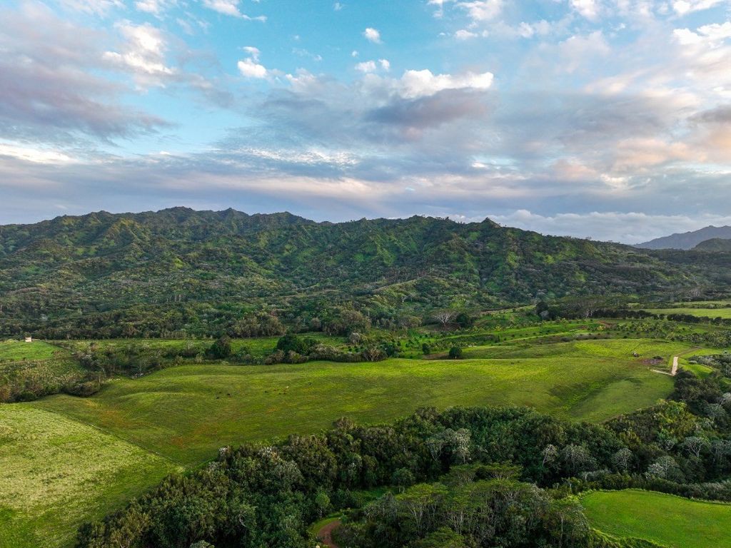 Kapuna Rd 4, Kilauea, HI 96754 MLS 668503 Trulia