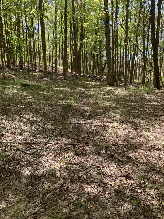 0 BEAVER SHORE Drive, Westerlo, NY 12193 Trulia