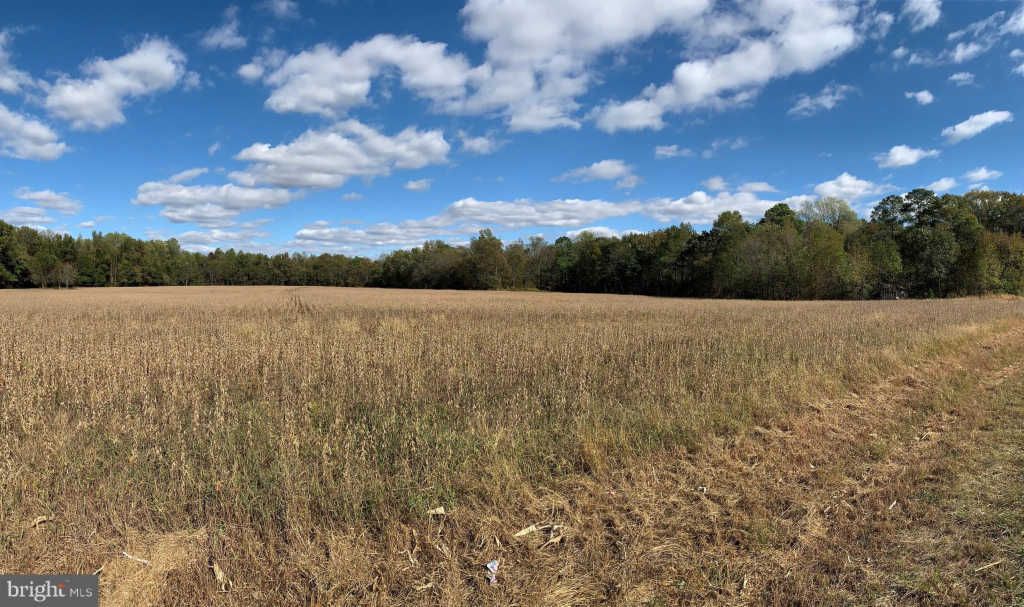 Three Bridges Rd, Federalsburg, MD 21632 Trulia