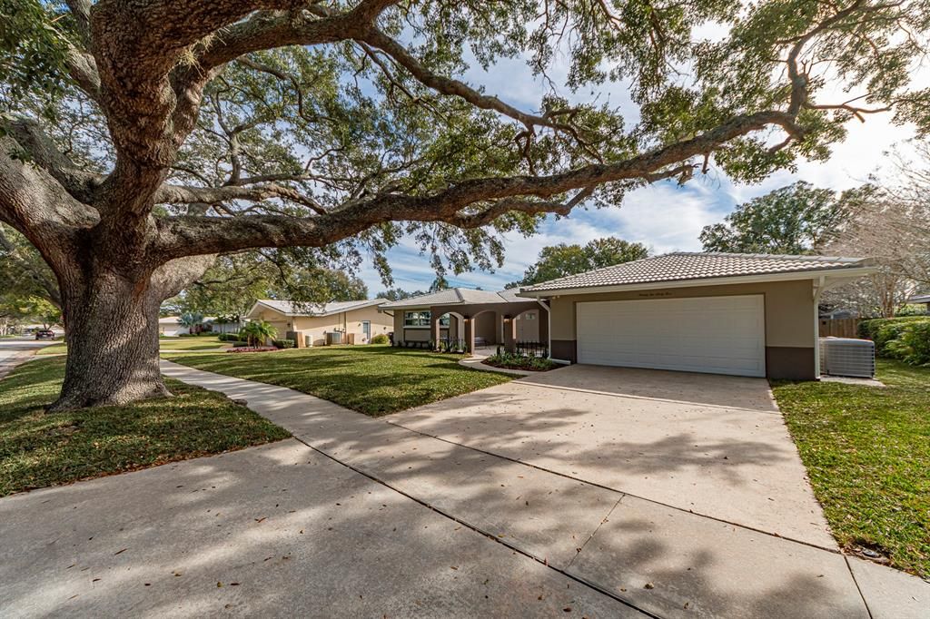 2265 Grovewood Rd, Clearwater, FL 33764 Trulia