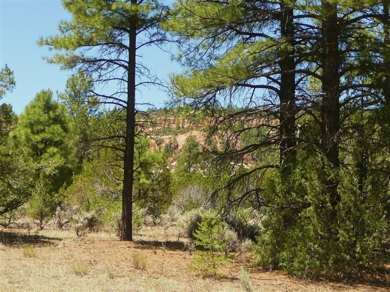 4 Yucca Village Rd, Ramah, NM 87321 Trulia