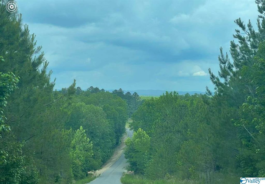 White Owl Dr, Ashville, AL 35953 Trulia