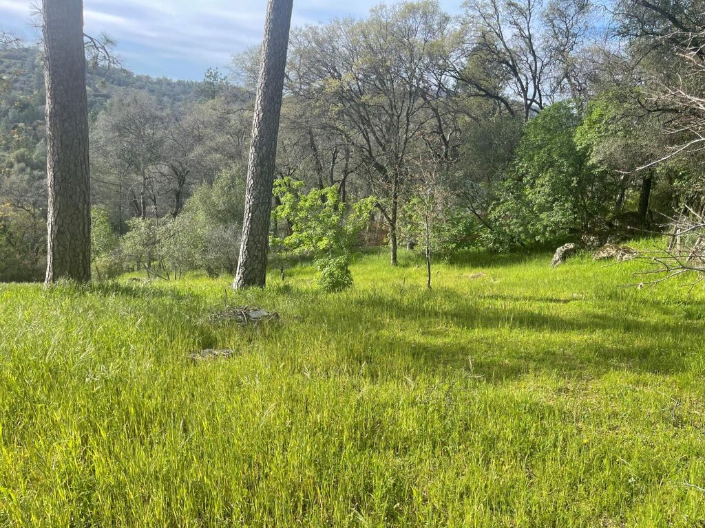 18679 Acorn Pl, Grass Valley, CA 95949