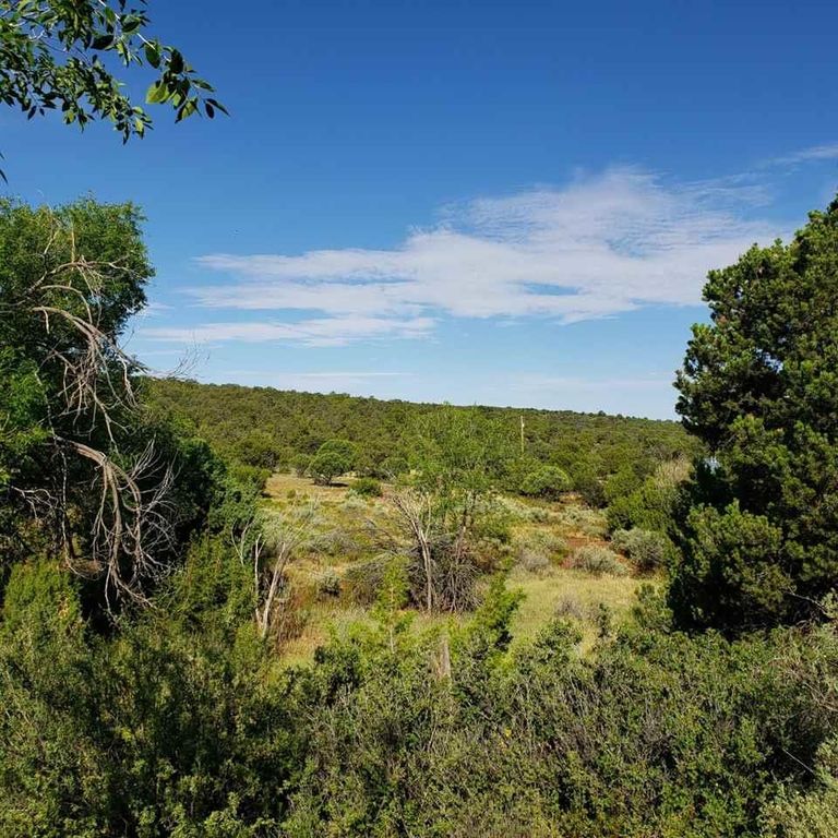 10 Westside Rd, High Rolls Mountain Park, NM 88325 MLS 166988 Trulia