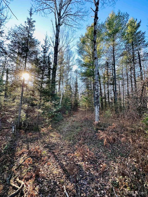 W Chain Lakes Trl, Gwinn, MI 49841 Trulia