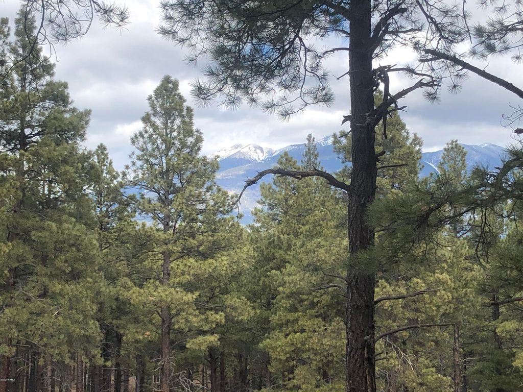 Coyote Pass 5, Flagstaff, AZ 86001 Trulia