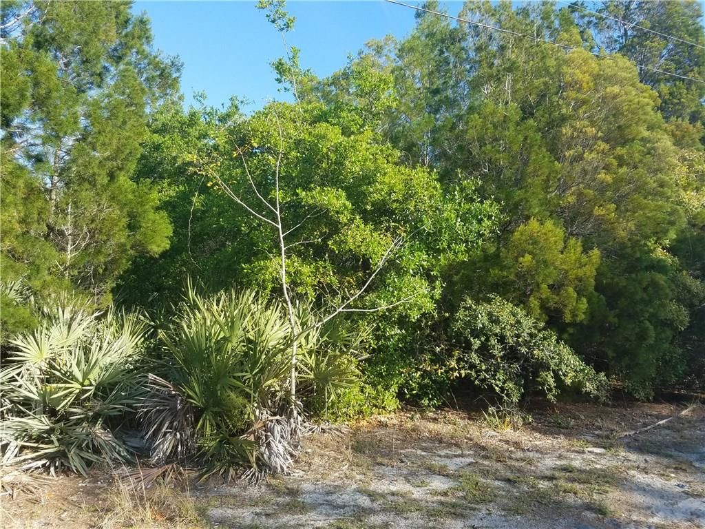 133rd Pl, Sebastian, FL 32958 Trulia