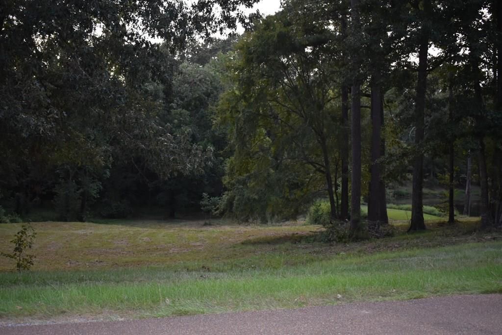 Lots Country Squire, Natchez, MS 39120 Trulia