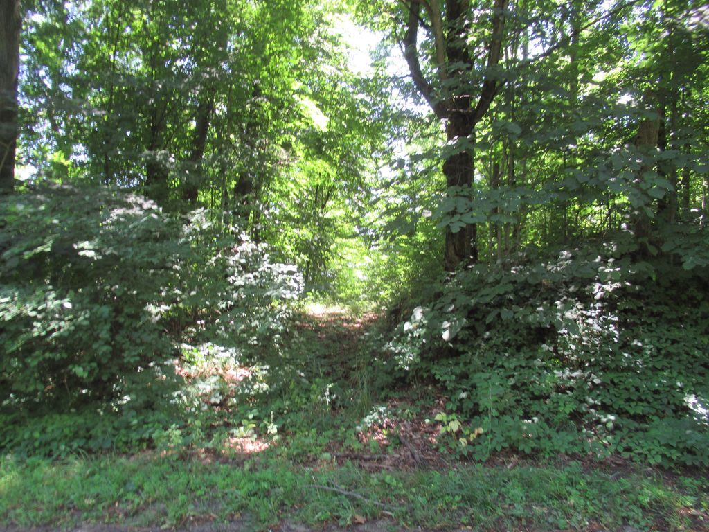 Dutch Settlement St, Cassopolis, MI 49031 Trulia