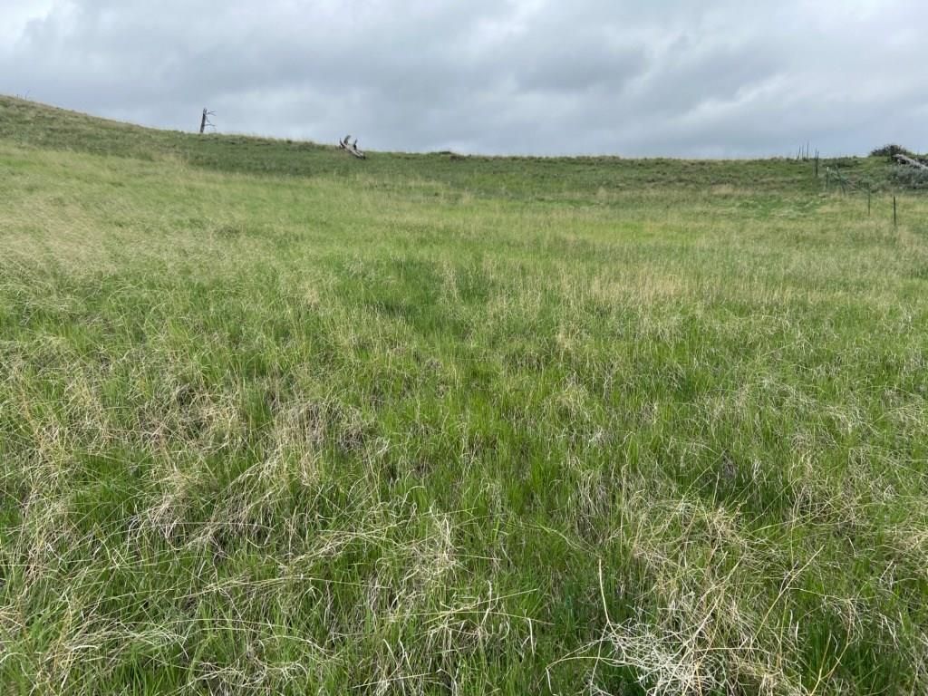 Steep Rd, Roundup, MT 59072 Trulia