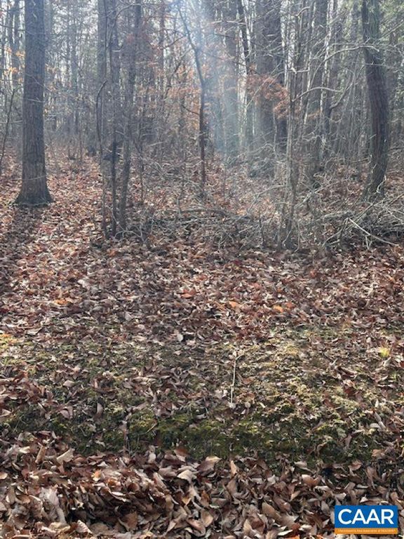 Union Church Rd, Palmyra, VA 22963 MLS 648713 Trulia