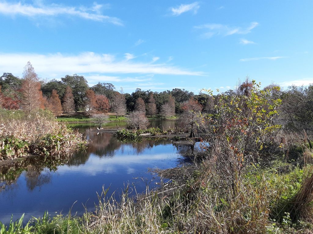 Betty Lane Clearwater, FL Trulia