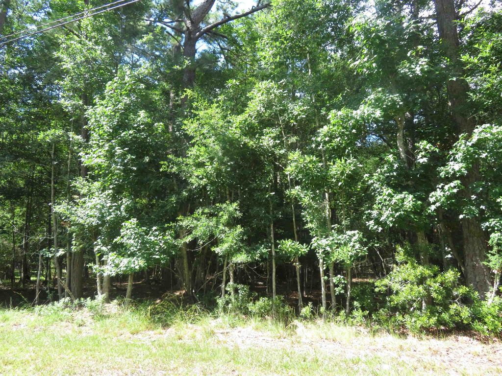 Lots 5 6 Block Wildwood Dr, Village Mills, TX 77663 MLS 230535 Trulia