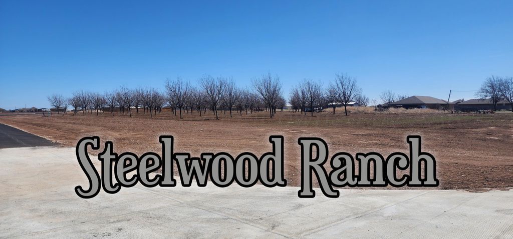 10025 Steelwood Ln, Canyon, TX 79015