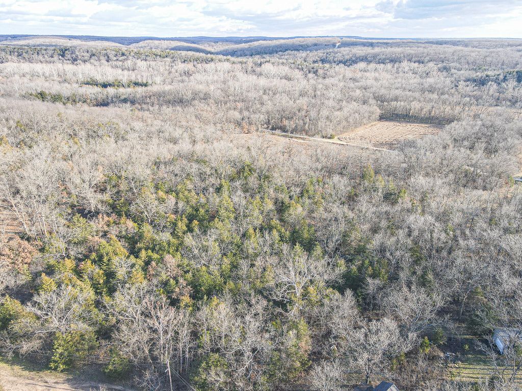 000 County Road 281, Cross Timbers, MO 65634 MLS 60257778 Trulia