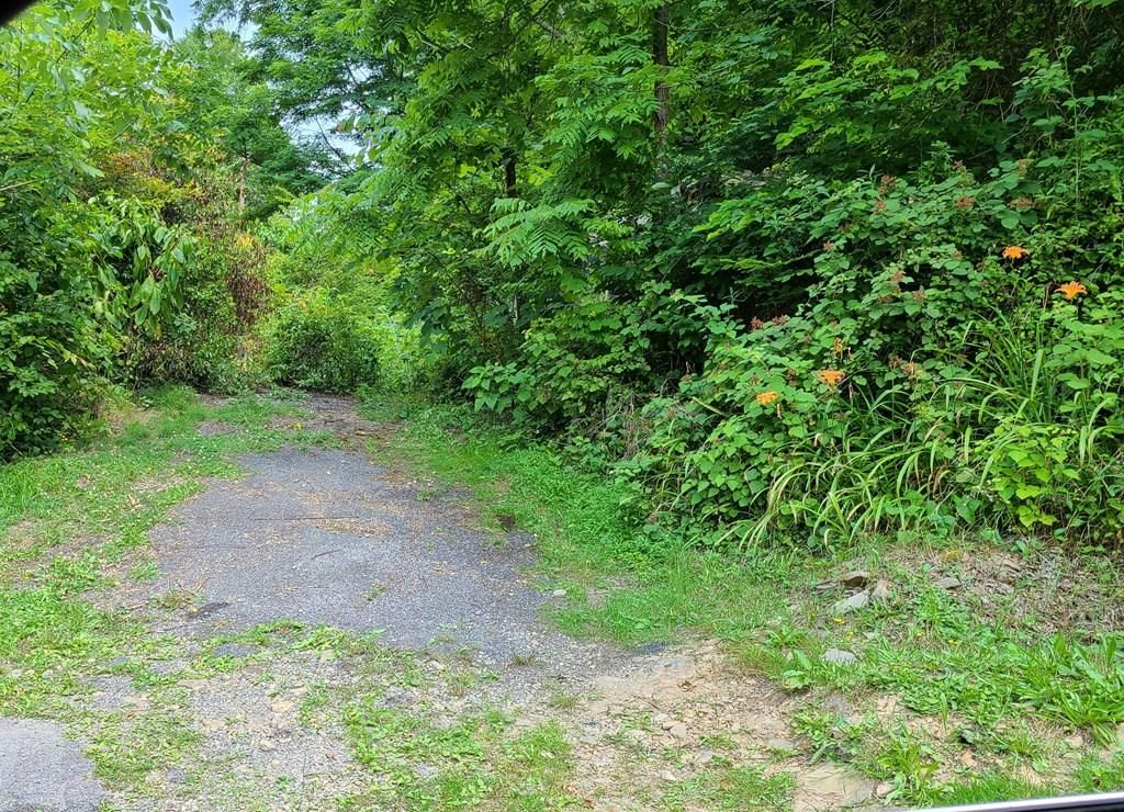 1062 Holiday Rd, Rowe, VA 24646 MLS 79065 Trulia