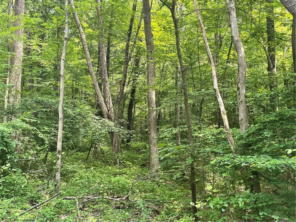 Bevs Shortcut Rd, Somerset, PA 15501 Trulia