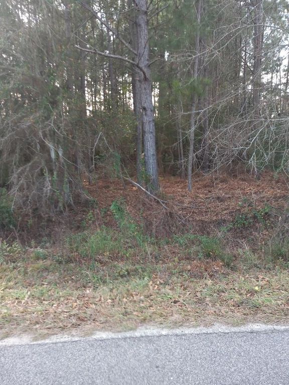 Justice Ave, Fitzgerald, GA 31750 Trulia