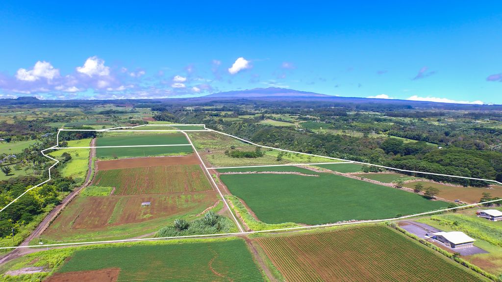 lli opua rd., pepeekeo, HI 96783 Trulia