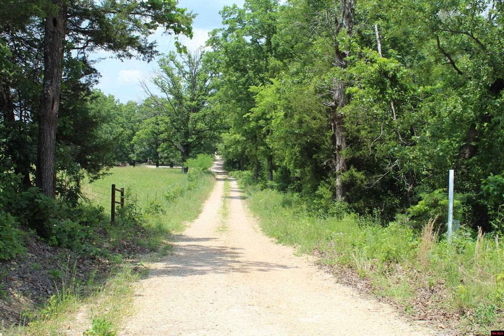 110614001 County Road 329, Dora, MO 65637 Trulia