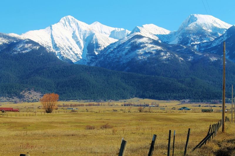 Nhn Watson Road 336330, Saint Ignatius , MT 59865 Trulia