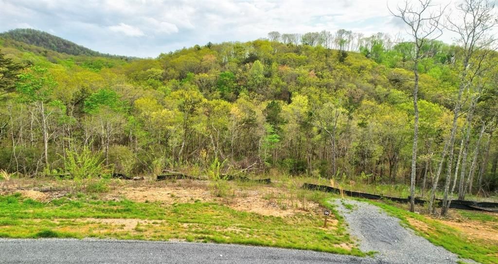 Timberline Trl 96, Ellijay, GA 30540 Trulia