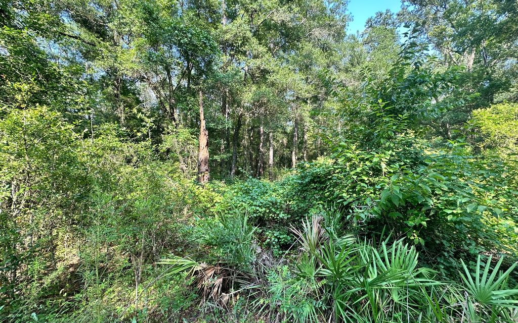 175th Dr 6, Live Oak, FL 32060 MLS 120160 Trulia