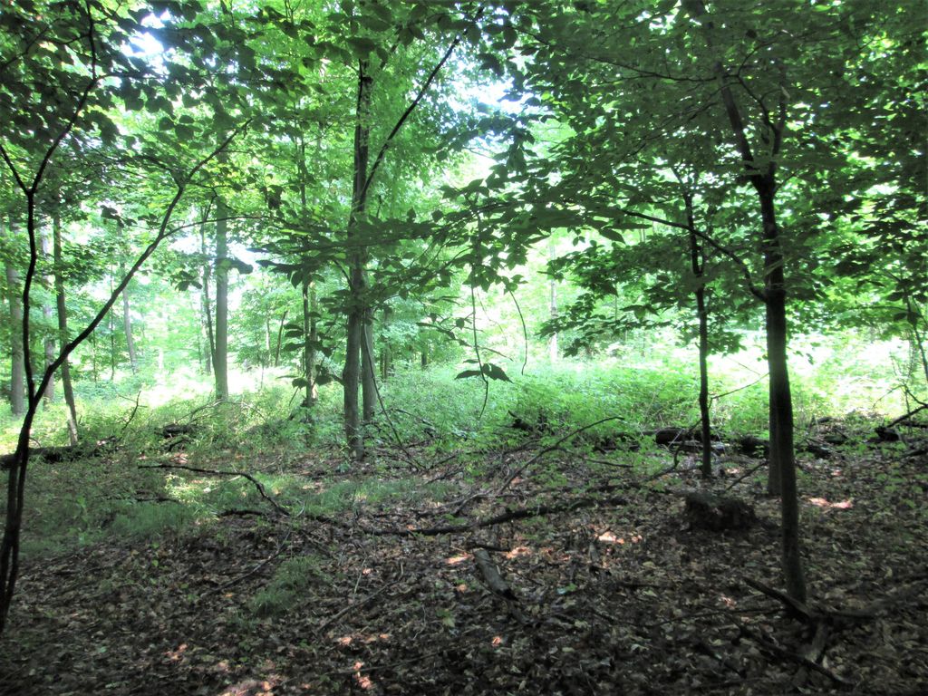 E Shore Dr, Stanton, MI 48888 Trulia