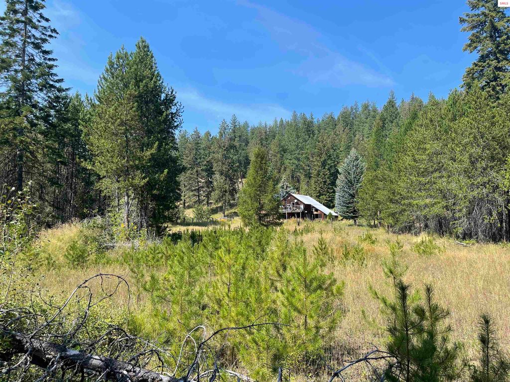 1518 Horn Mountain Rd, Priest River, ID 83856 | MLS# 20222450 | Trulia