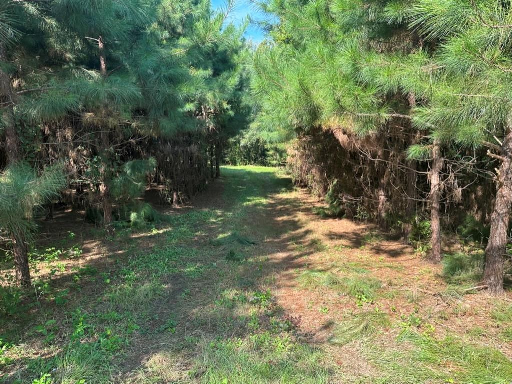 Rhine Rd, Fitzgerald, GA 31750 MLS 135551 Trulia