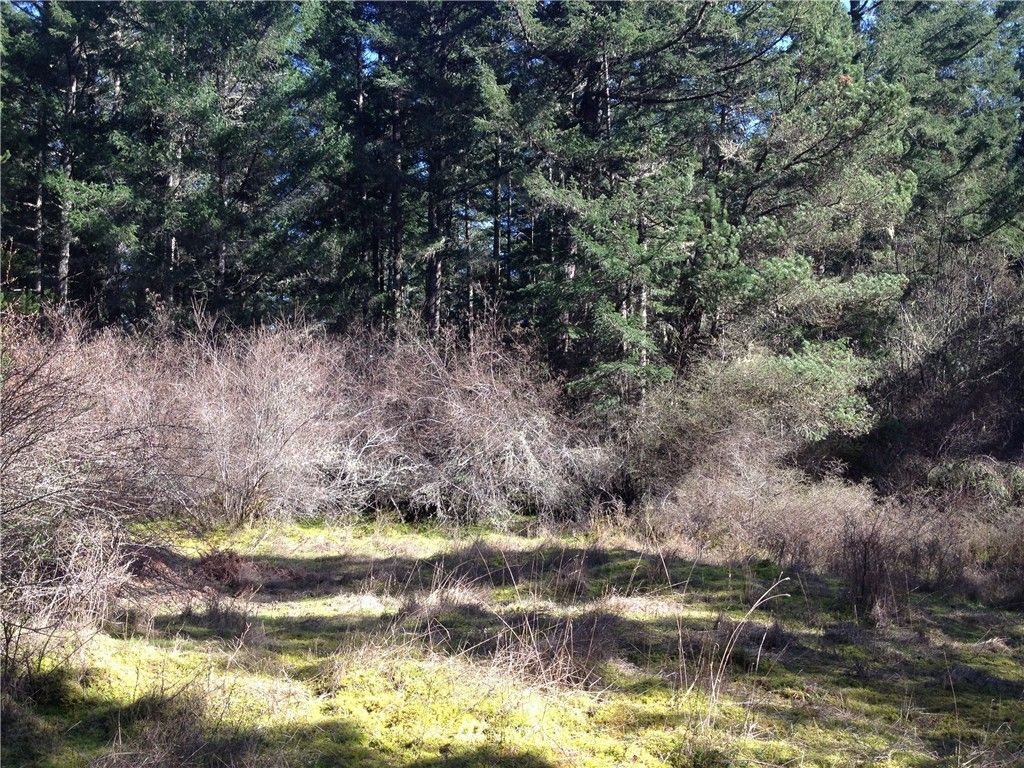 160 Pheasant Lane, Orcas, WA 98280
