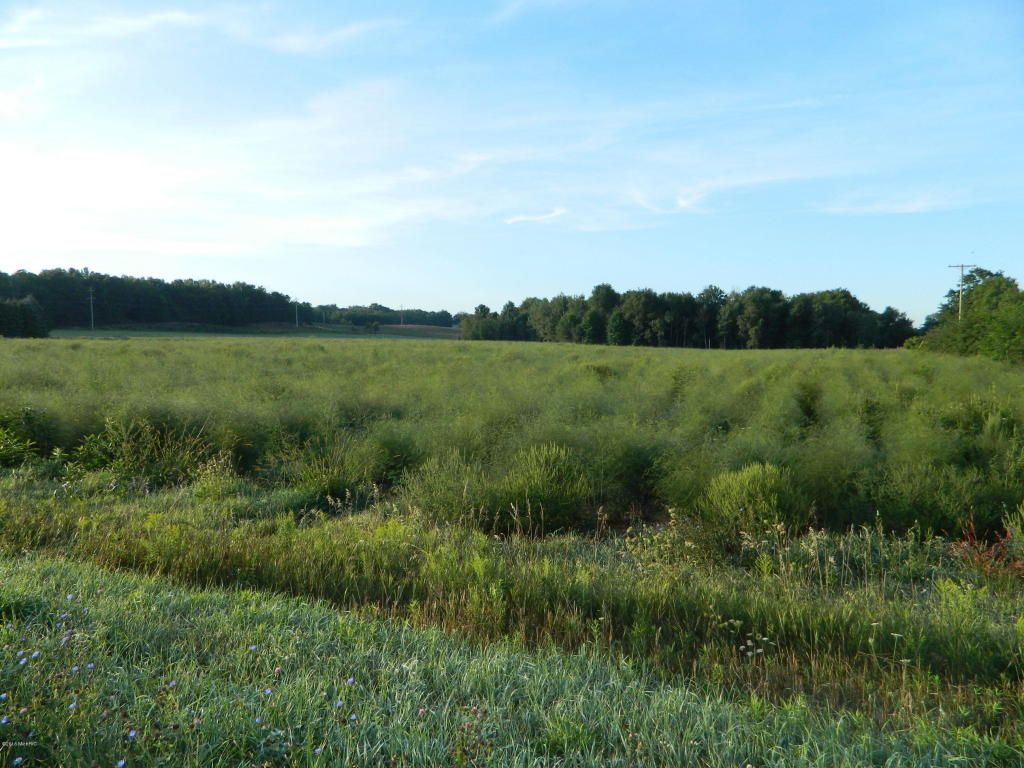 White, Rothbury, MI 49452 Trulia