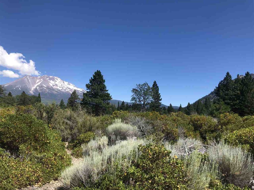 100 Acres, Weed, CA 96094 Trulia