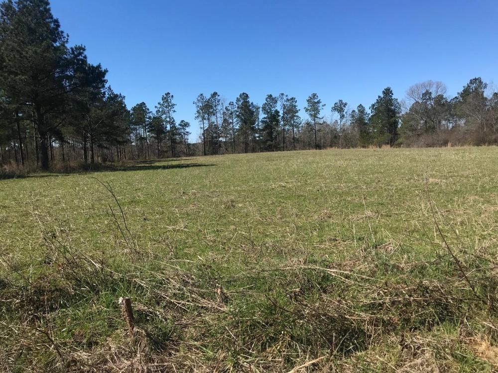 Lamar Rd, Kennedy, AL 35574