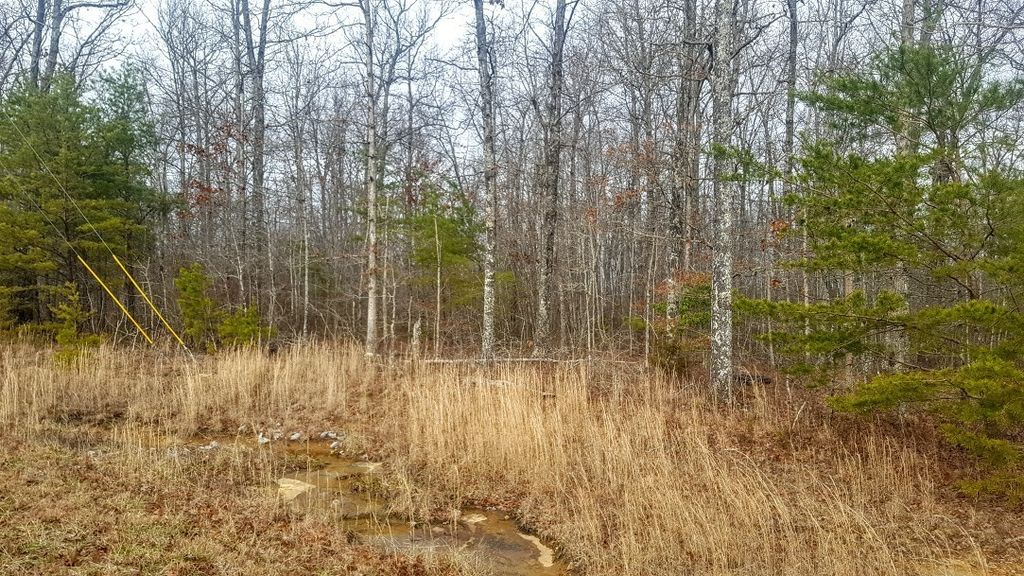 Hunters Trail Way 77, Altamont, TN 37301 Trulia