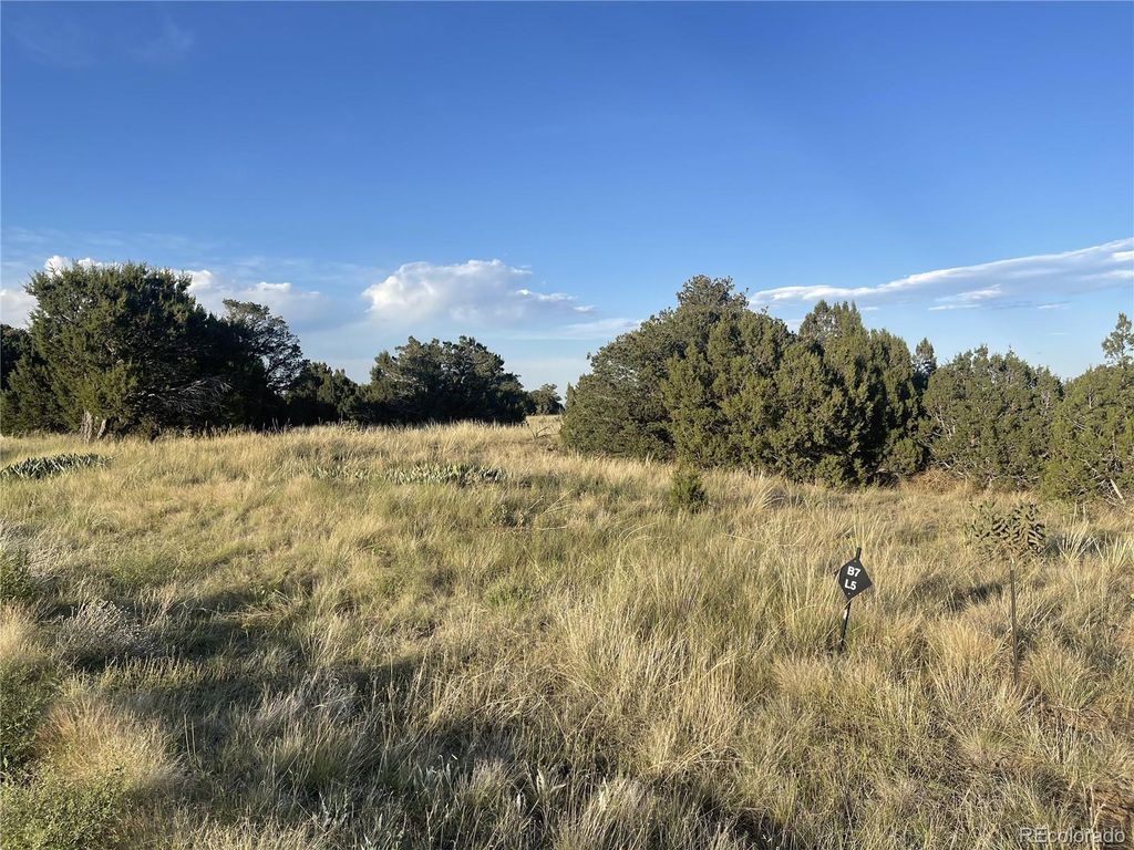Black Diamond Park, Walsenburg, CO 81089 Lot/Land for Sale MLS 5426764